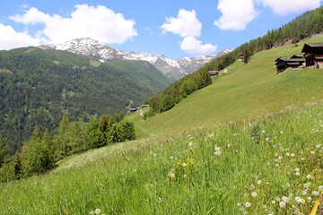 Berglandschaft
