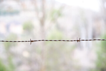Close-up of barbed wire against forest or nature background.