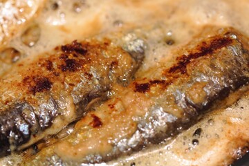 Sardine in Butter