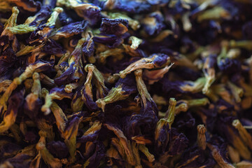 Blüten der Färberpflanze Blaue Klitorie (Clitoria ternatea)