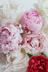Beautiful lovely peonies bouquet closeup. Pink and white peony flowers. Mothers day. Wedding bouquet