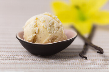 Eiskugel Vanilleeis mit Vanilleschoten und Vanilleblüte