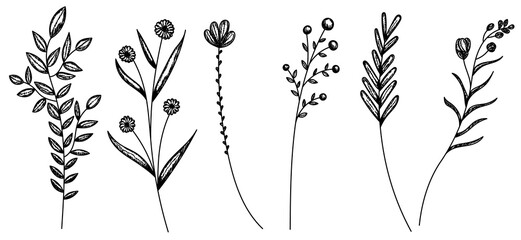 black plant sketch, grass, flowers, set