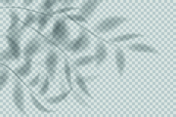 Transparent shadow of leaves isolated on transparent background. Realistic shadow effect, floral shadow