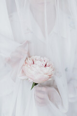 Sensual beautiful woman behind soft white fabric with pink peony in hands. Tender bridal morning