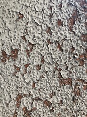 The wall paint peels off.