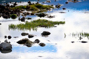 stones grass and reflection of a cloudy sky on a water surface