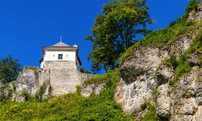 Fototapeta na wymiar Limestone rocky defense walls and towers of medieval royal Ojcow Castle on Cracow-Czestochowa upland in Lesser Poland