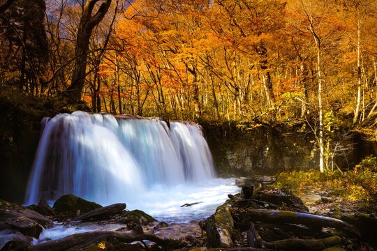 Scenic View Of Waterfall In Forest During Autumn
