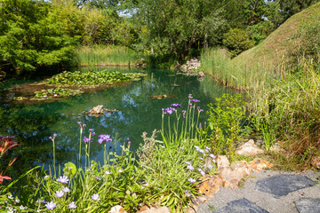 Aménagement d'une zone humide dans un jardin - étang avec des nénuphars, lis d'eau, roseaux et plantes vertes entouré de bois © Olivier-Tuffé