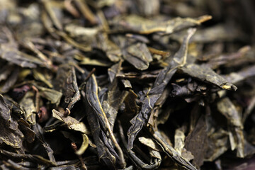 Green tea dried and rolled leaves