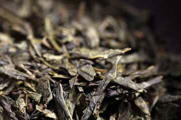 Green tea dried and rolled leaves