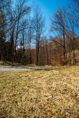 trail with trees, graas around and clear sky in early springtime mountains