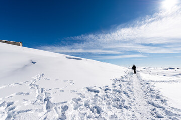 Fototapeta na wymiar Snowy footpath in winter on the Lessinia Plateau (Altopiano della Lessinia), Regional Natural Park, near Malga San Giorgio, ski resort in Verona province, Bosco Chiesanuova, Veneto, Italy, Europe.
