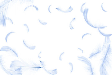 Feather banner. Pastel angel feather in pattern texture falling on white background. Glamorous sophisticated airy artistic image isolated on white.