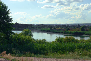 wild lake with overgrown water, green banks densely covered with lush vegetation of bushes and reeds. true rural view  under the clean blue sky