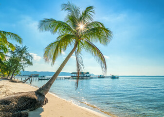 Sunny seascape with tropical palms on beautiful sandy beach in Phu Quoc island, Vietnam. This is one of the best beaches of Vietnam.