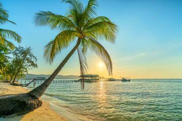 Sunny seascape with tropical palms on beautiful sandy beach in Phu Quoc island, Vietnam. This is one of the best beaches of Vietnam. © huythoai