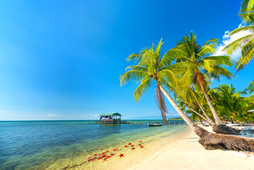 Seascape with tropical palms on beautiful sandy beach in Phu Quoc island, Vietnam. This is one of the best beaches of Vietnam. © huythoai