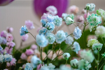 Flowers. Spring flowering. Mother's Day 8 March. Beautiful decoration, floristry, botany, petals and leaves, a gift for her