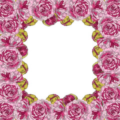 Pink Peony Flowers. Square frame made of flowers. Hand-drawn floral collection of festive decor. Vector illustration on a white background.