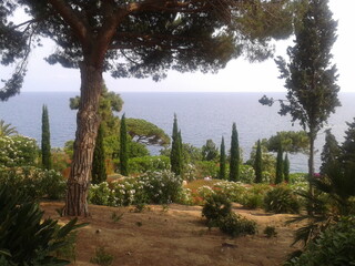 botanical garden by the sea