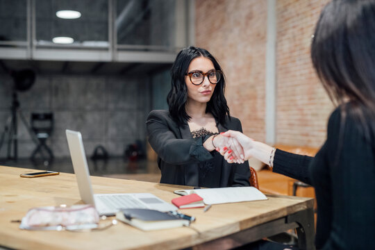 Two young multiethnic professional businesswomen handshaking