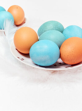 Colored eggs on plate with on white background. Copy space.  Easter concept.
