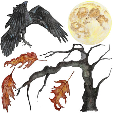 Set with raven, moon, tree and dried leaves.