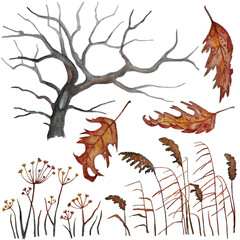 Set with tree, dried grass and leaves.