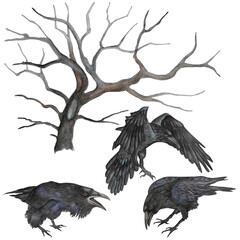 Watercolor set with ravens and dried tree.
