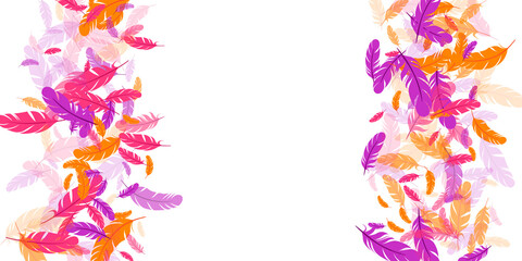 Orange purple pink red feather floating background