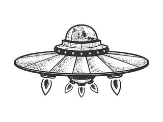Cat on UFO spaceship sketch raster illustration