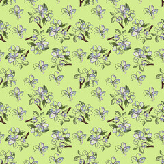 Watercolor seamless pattern of apple blossom on a light green background.