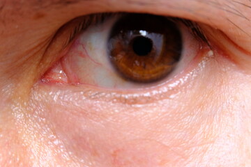 Fototapeta premium close up of eye