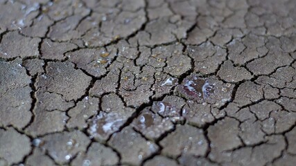 Water Drops Fall On Dry Fractured Soil Of Drought
