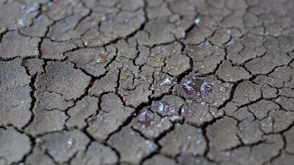 Water Drops Fall On Dry Fractured Soil Of Drought