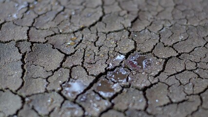 Water Drops Fall On Dry Fractured Soil Of Drought