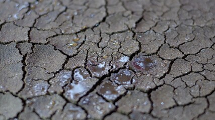 Water Drops Fall On Dry Fractured Soil Of Drought