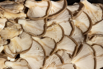 Tray of mushrooms grown in a popular flea market