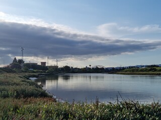 Fototapeta premium view of the river