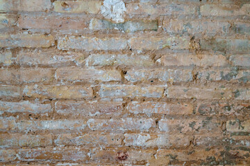 Muro