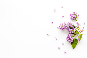 Flat lay composition of spring flowers - branches of lilac top view
