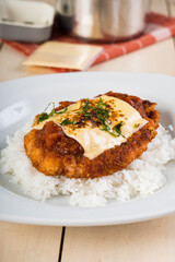 chicken parmigiana; deep fried chicken breast with tomato sauce and melted cheese on top