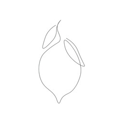 Lemon fruit on white background, vector illustration