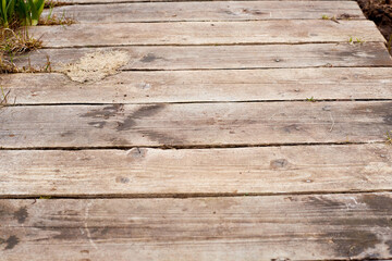 Obraz premium A path made of planks on the ground. Old brown board for background or texture