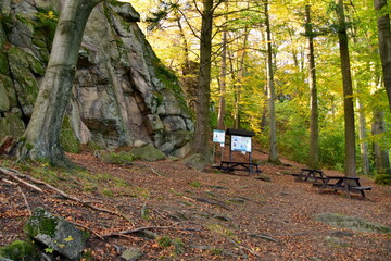Sokoliki w Rudawach Janowickich na Dolnym Śląsku © Albin Marciniak