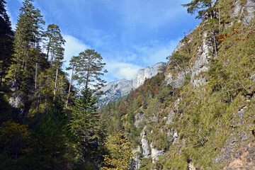 In der Almbachklamm bei Berchtesgaden, Bayern