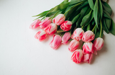Pink fresh tulips flowers on white background