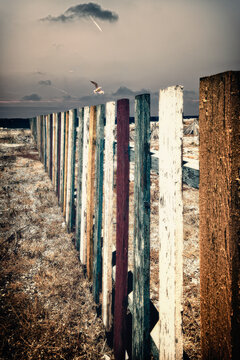 Wooden Posts On Beach Against Sky